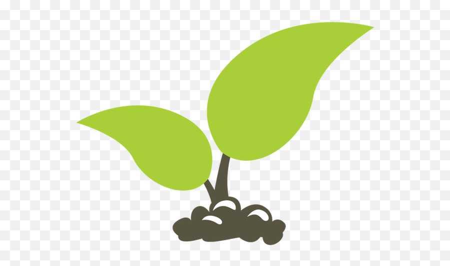 Tree Seedling Png Transparent - Cartoon Seedling Transparent Background,Seedling Png