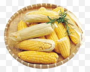 Corn Transparent Background Png - Transparent Background Corn Png,Corn Transparent Background