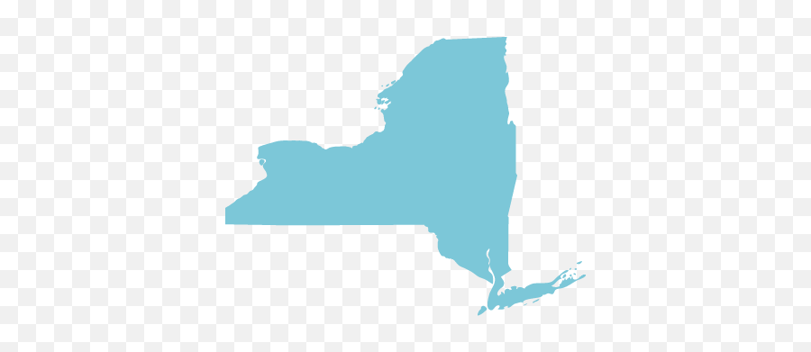 New York Advance Directive - New York State Topographic Map Png,New York State Icon