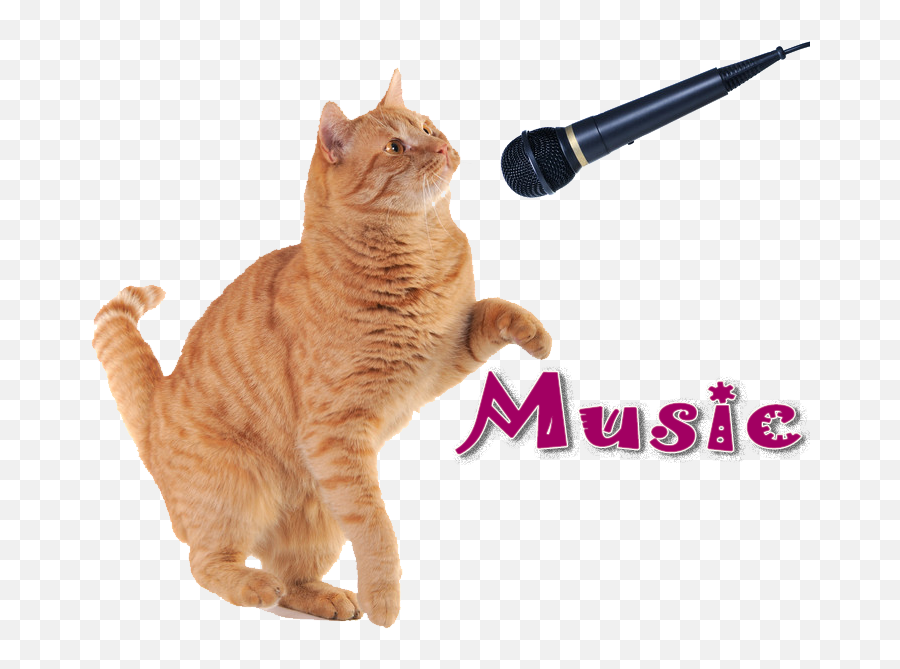 Kitten Microphone Png St Gertrude Of Nivelles Icon