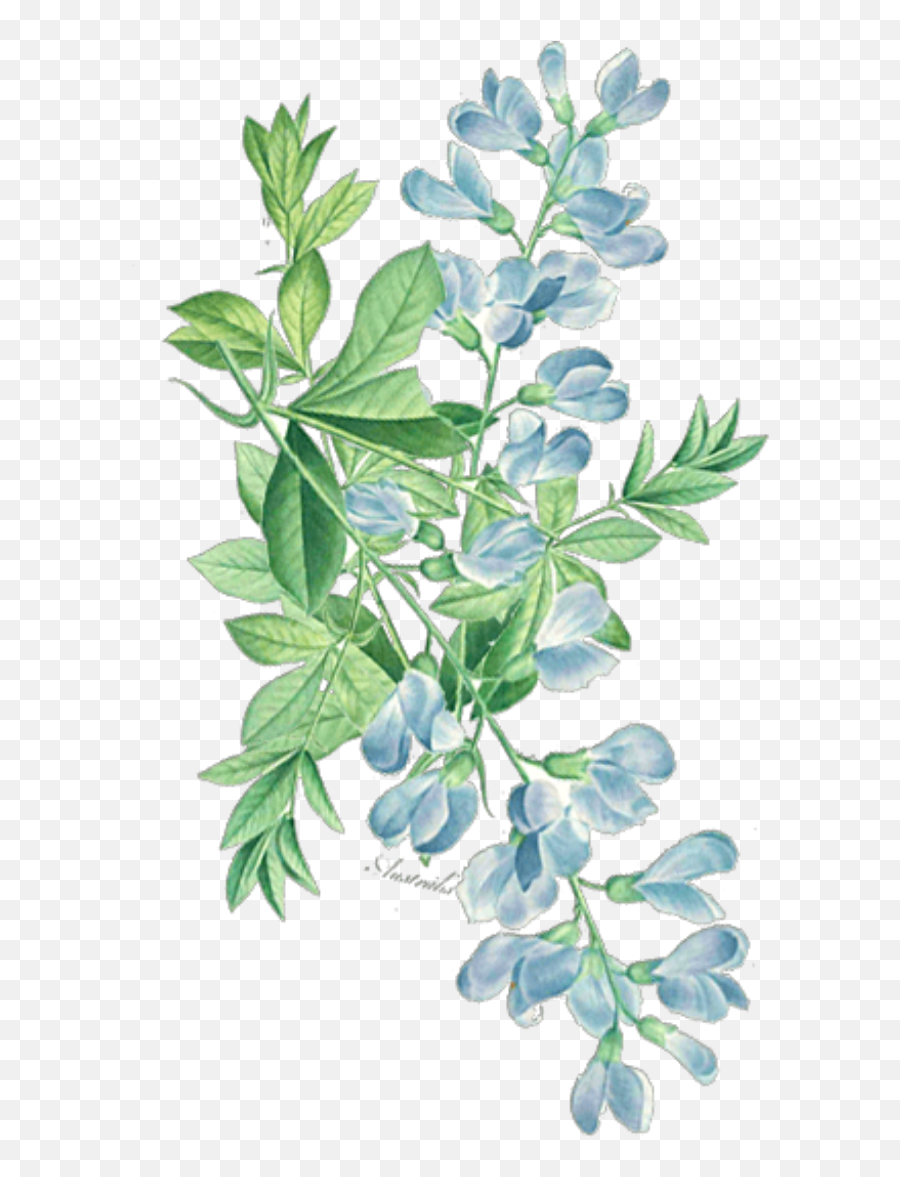 Ftestickers Watercolor Floral Leaves - Watercolor Purple Flowers Transparent Background Png,Watercolor Greenery Png