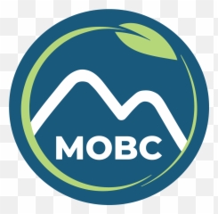 Home - MOUNT OLIVE BAPTIST CHURCH Mount Olive Baptist Church Knoxville Tn png