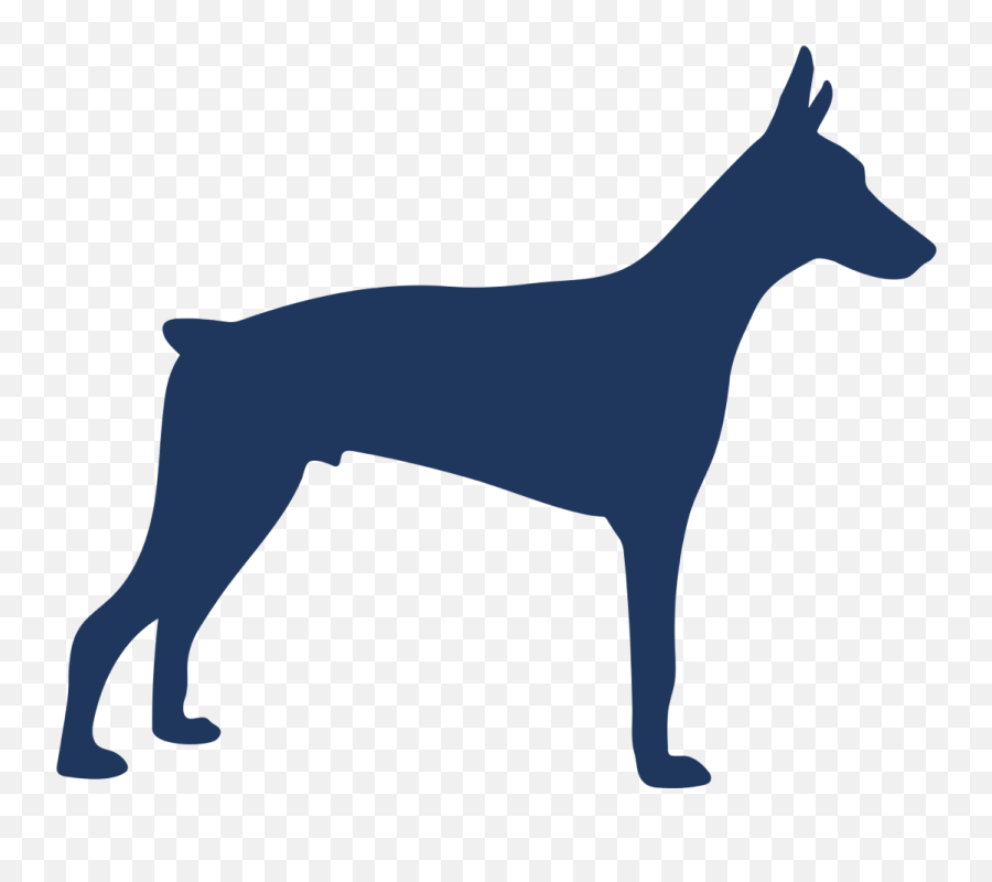 Recommendations U2014 The Loose Leash Academy Png Doberman Icon