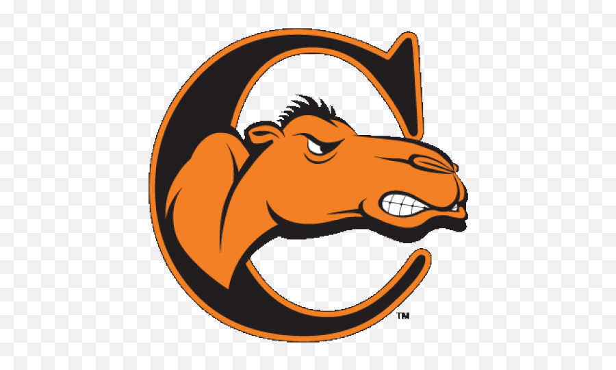 Fighting - Campbell Fighting Camels Logo Png,Camel Logo