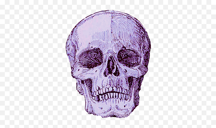 Home Of Unsound Mind - Scary Png,Purple Skull Icon
