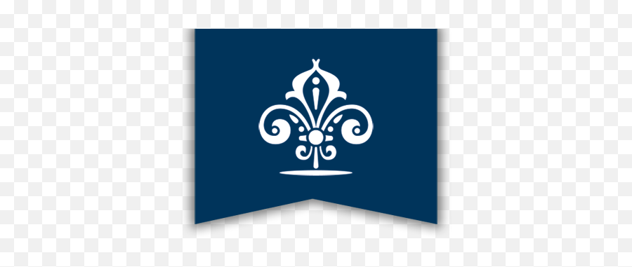 Academy Of Our Lady - Academy Of Our Lady Of Peace Logo Png,Peace Logos