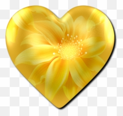 Monica Michielin Alphabets Yellow Flower Alphabet And Icons Png Rose Icon
