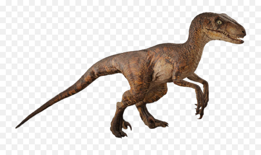 Jurassic Park Raptor Png Clipart - Velociraptor De Jurassic World,Jurassic World Png