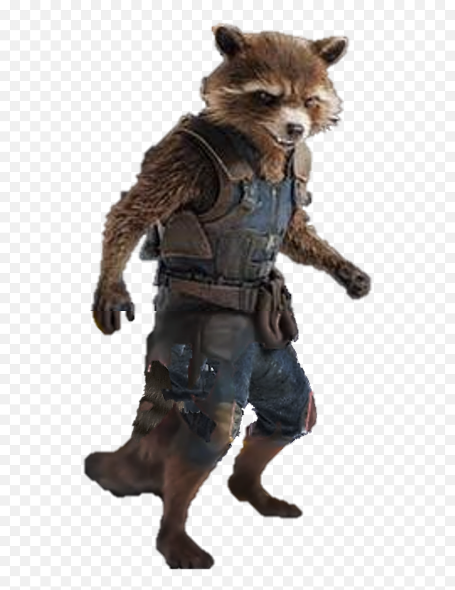 Rocket Raccoon Png Transparent - Rocket Raccoon Infinity War,Rocket Raccoon Transparent