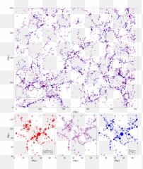 Comparison Between The Halo Distributions Predicted By - Art png