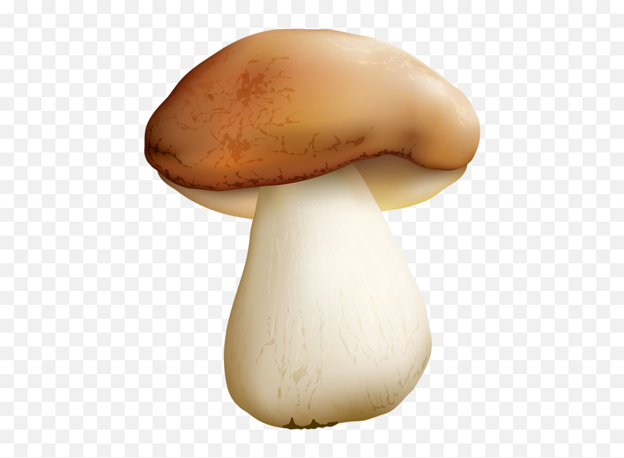 Mushroom Png Clipart Image - Mushroom Clipart Transparent Background,Fungi Png