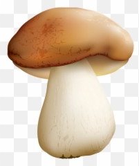 Mushroom Png Clipart Image - Mushroom Clipart Transparent Background,Fungi Png