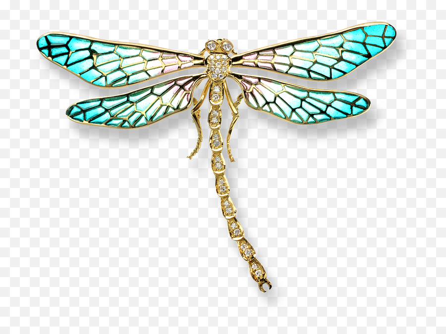Nicole Barr Designs 18 Karat Gold Dragonfly Necklace - Dragonfly Hd Png,Dragonfly Transparent Background