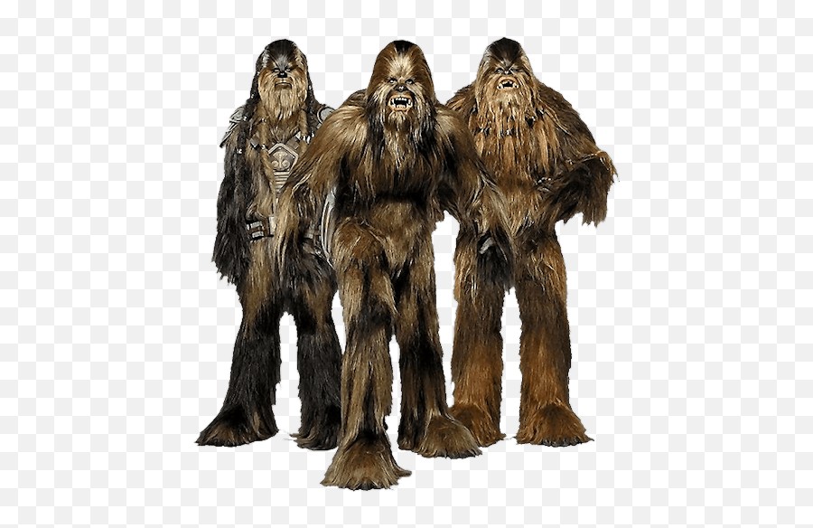 Chewbacca Star Wars Transparent Png - Wookie Race,Chewbacca Png