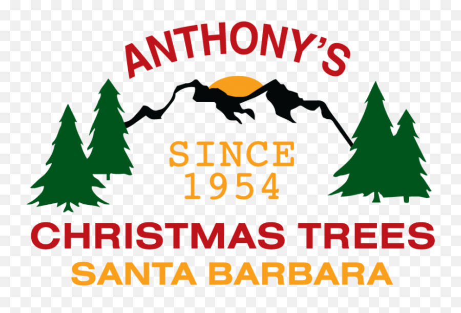 Anthonyu0027s Christmas Trees U2014 - Illustration Png,Merry Christmas Logo