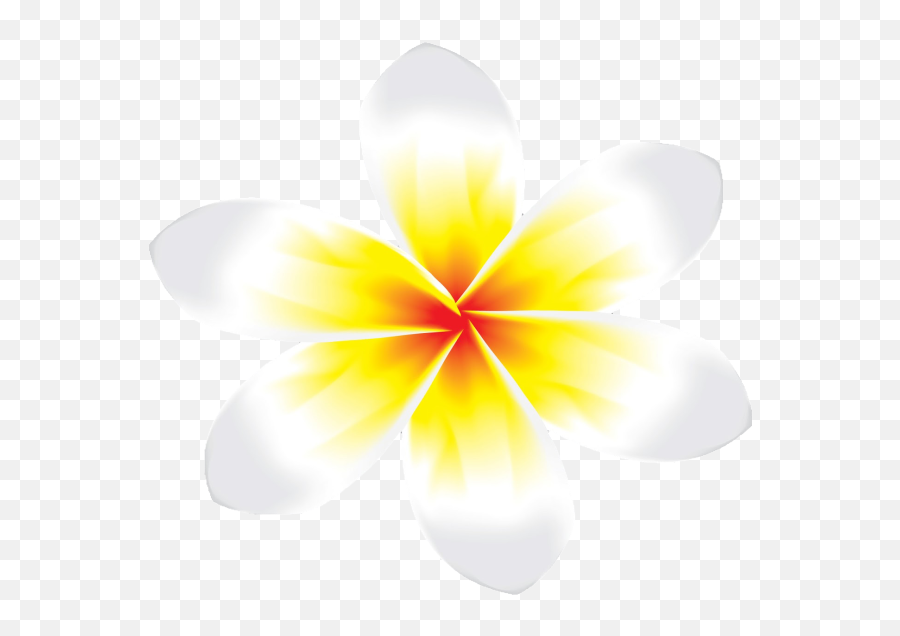 Transparent Download Bunga Kamboja Logo - Bunga Jepun Png,Bunga Png