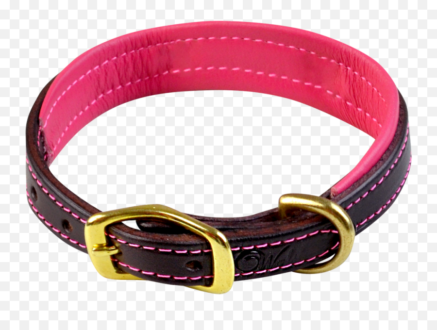 Walsh Signature Dog Collar - Watch Strap Png,Dog Collar Png
