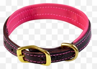 Walsh Signature Dog Collar - Watch Strap Png,Dog Collar Png