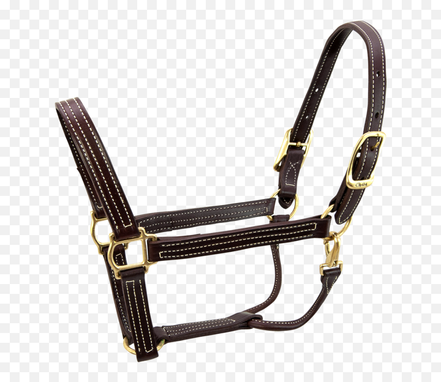 British Halter - 5100 Leather Halters Nz Plain Png,Leather Png