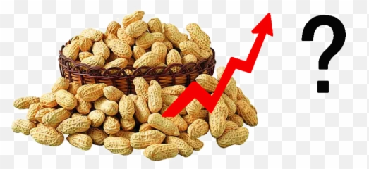 Junan Fuqun Foodstuffs Co - Peanut Shell Opening Machine Png,Peanuts Png