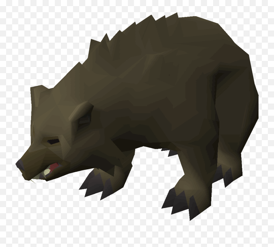 Grizzly Bear - Osrs Bear Png,Bears Png