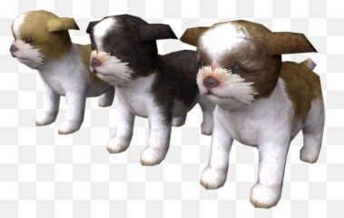 Ds Dsi - Nintendogs Shih Tzu The Models Resource Soft Png,Shih Tzu Png