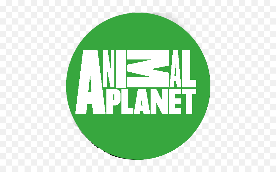 Animal Planet Logo - Animal Planet Png,Animal Planet Logo Png - free  transparent png images 