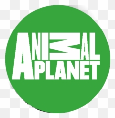 Animal Planet Logo - png