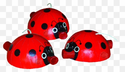 Download Lady Bugs Png Image With No Background - Pngkeycom Ladybird Beetle,Bugs Png