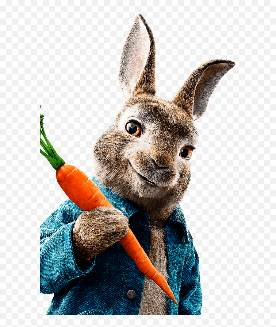 Peter Rabbit Carrots Clipart Png