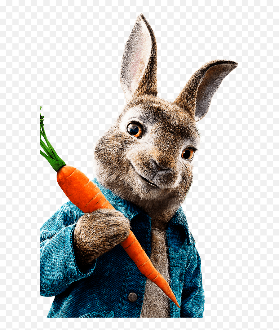 The bunny. Peter Rabbit. Кролик Питер герои. Миссис игли кролик Питер. Кролик Питер персонажи.