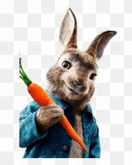 Peter Rabbit Carrots Clipart Png
