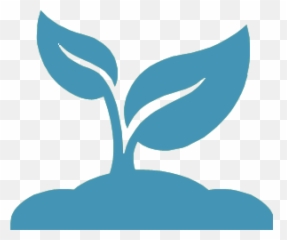 Giving Church Of Saint Patrick - Catholic Sarasota Plant Kingdom Clipart png