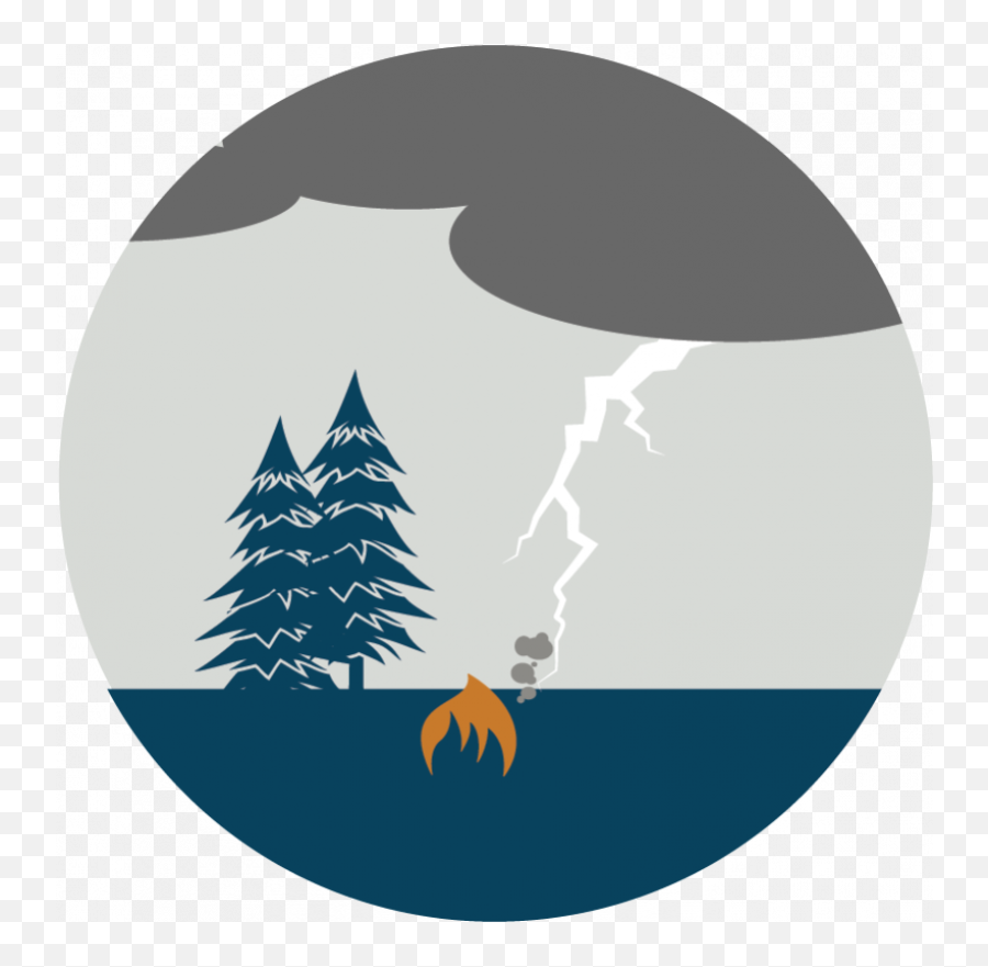 Wildland Fire Arctic Council Png Pine Tree Canoe Icon