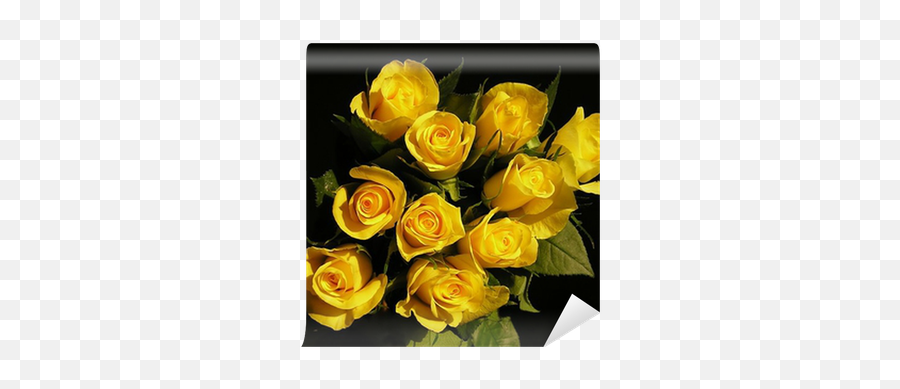 Wall Mural Yellow Roses - Pixersus Png,Yellow Rose Icon