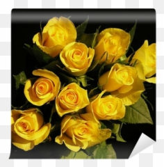 Wall Mural Yellow Roses - Pixersus Png,Yellow Rose Icon