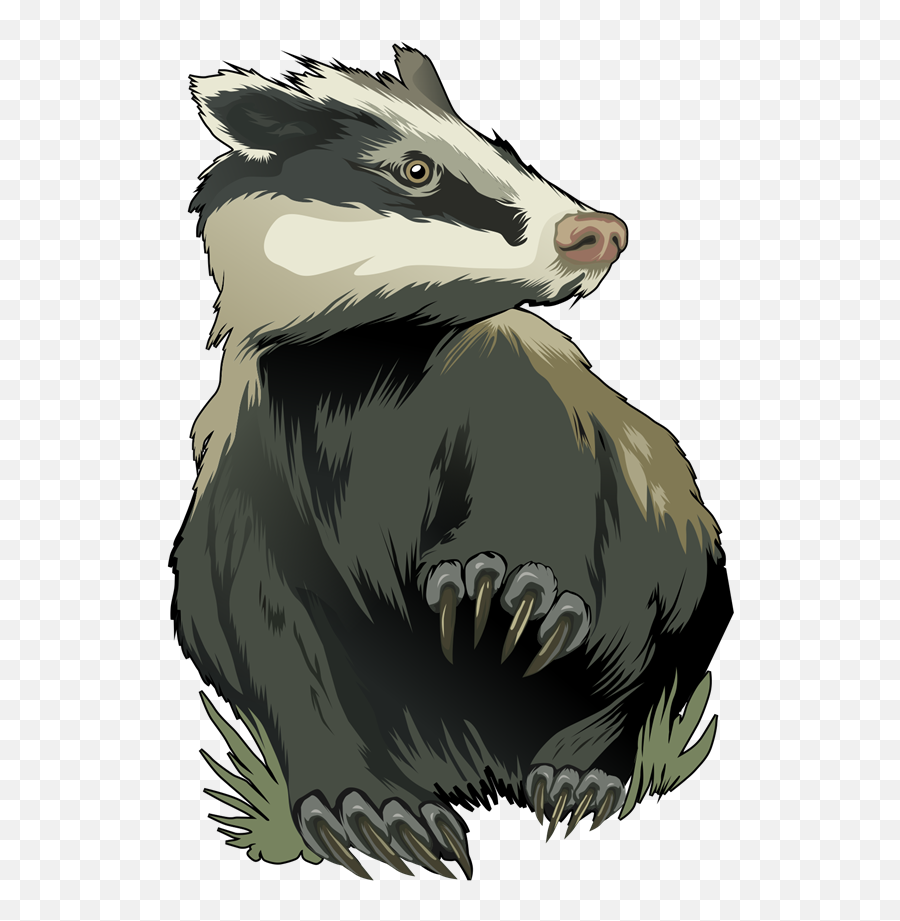 Honey Badger - Badger Png,Badger Png