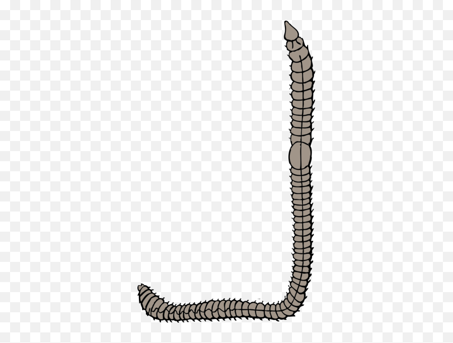 Reptilelineworm Png Clipart - Royalty Free Svg Png Worm Clip Art,Worm Png