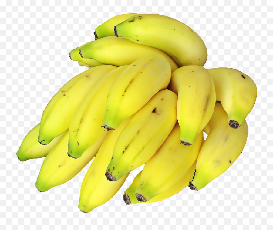 Green Bananas Bunch Png Transparent - Make A Banana Milkshake Without Ice Cream,Banana Transparent