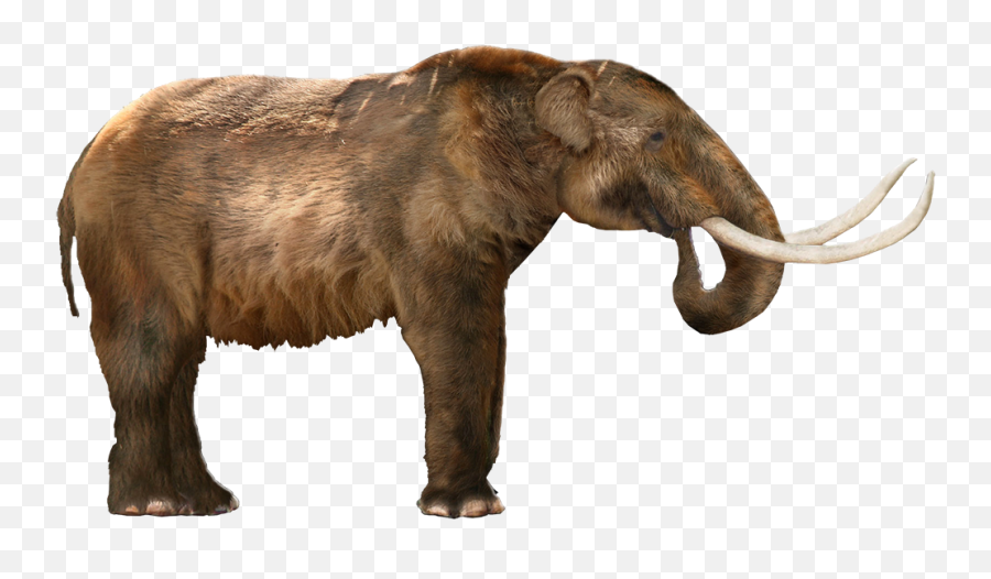 American Mastodon - American Mastodon Png,Mastodon Png