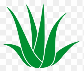 Good Medical Balance Center Chemnitz In With - Agave Clipart Png,Agave Png