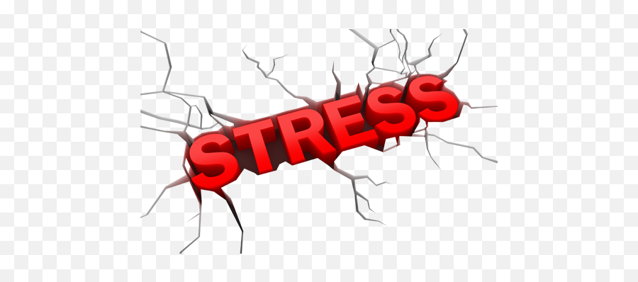 Class Aims To Reduce Stress Build - Word Stressors Png,Stress Png