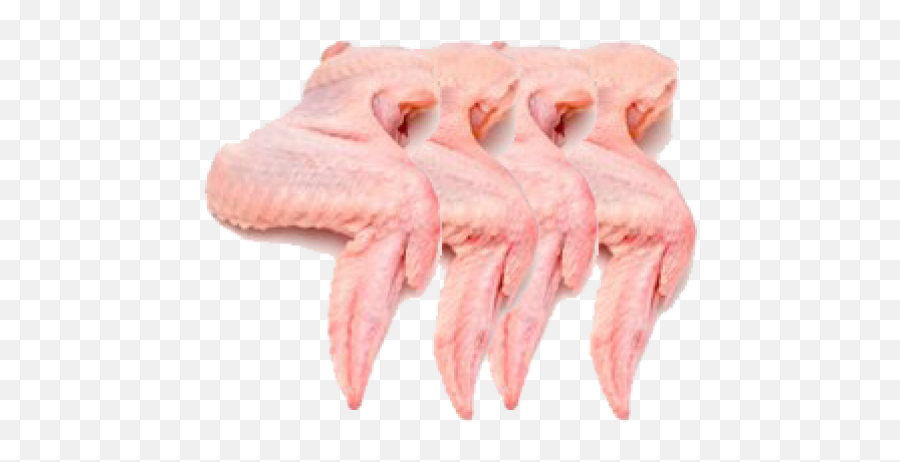 Chicken Wings 4 - Chicken Wings With Skin Png,Chicken Wings Png