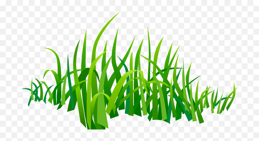 Grasses Png - Grass Vector 7 Png,Cartoon Grass Png
