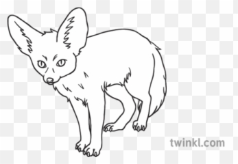 Fennec Fox Animal Predator Desert Science Secondary Ks1 - Dot And Cross Diagram Of The Bonding Png,Fennec Fox Png