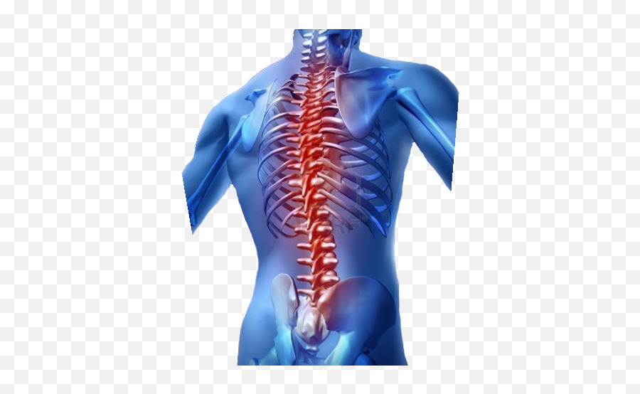 Spine Surgery In Ortho City Hospital Madhaw Market Lanka - Spinal Cord Treatment Using Nanotechnology Png,Spine Png