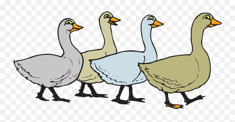 Geese Birds Wings - Goose Cartoon Png,Geese Png