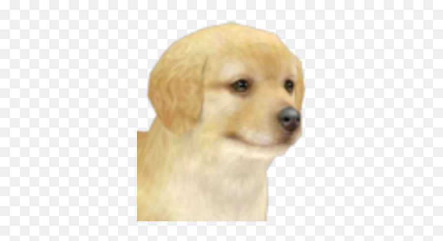 Golden Retriever - Golden Retriever Puppy Nintendogs Png,Golden Retriever Png