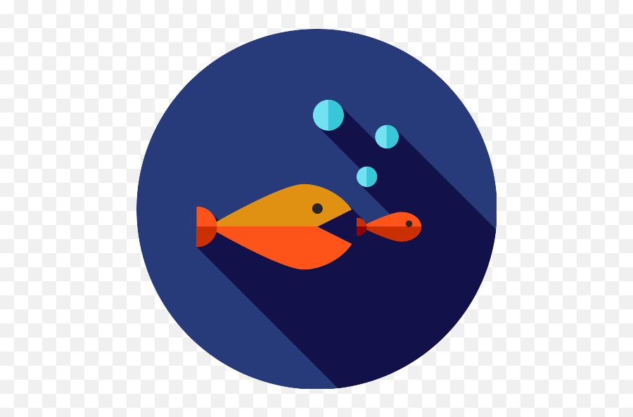 Competition Fishes Png Icon - Osaki Park,Fishes Png