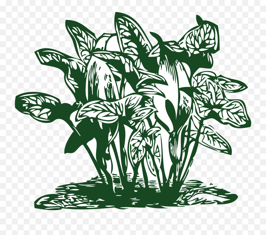 Download Clip Arts Of Plants Hd Png - Uokplrs Clipart Tropical Plants,Plant Vector Png